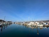 IMG_9334