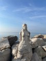 IMG_9372
