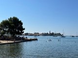 IMG_6920