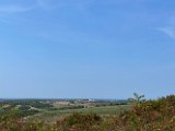 IMG_7126