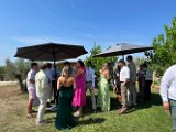 IMG_7515