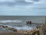 IMG_0337
