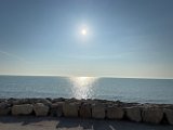 IMG_2625