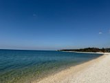 IMG_3439
