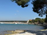 IMG_3456