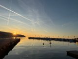 IMG_3187