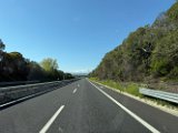 IMG_4409