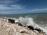 IMG_4585