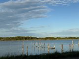 IMG_7194
