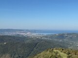 IMG_3889