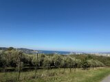 IMG_3922