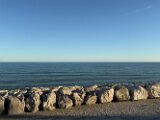 IMG_3504