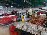 IMG_3542