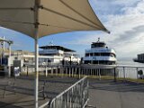 IMG_8317