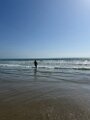 IMG_8781