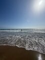 IMG_8799