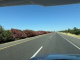 IMG_0890