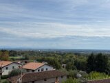 IMG_4326