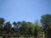 img_9919_small.jpg