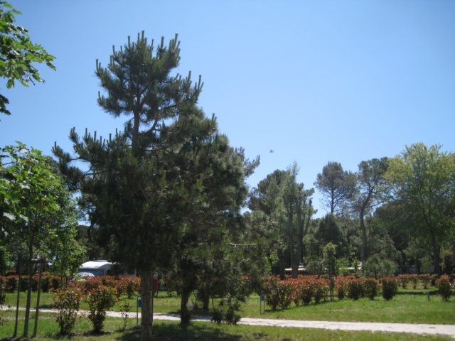 img_9922.jpg