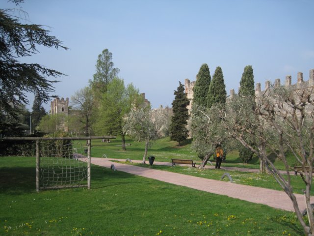 img_8637.jpg