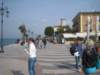 img_8658_small.jpg