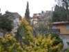 img_8724_small.jpg