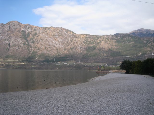 img_8768.jpg