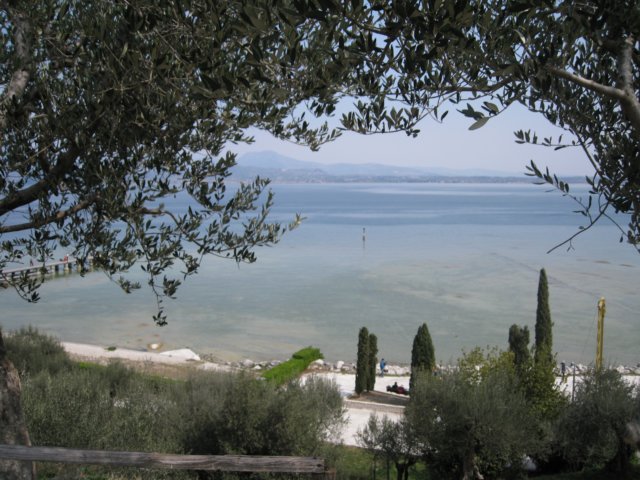 img_8794.jpg