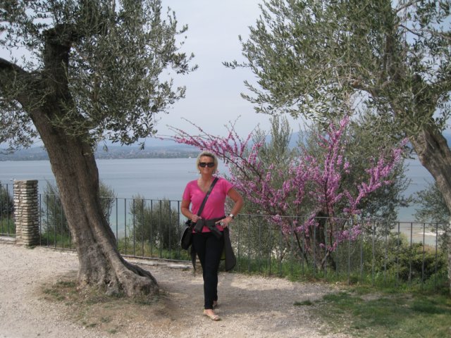 img_8800.jpg