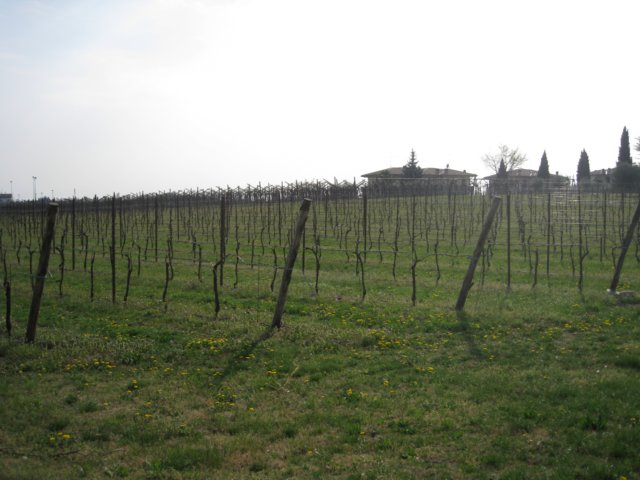 img_8814.jpg