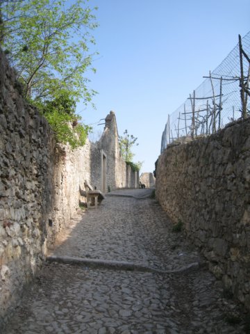 img_8870.jpg