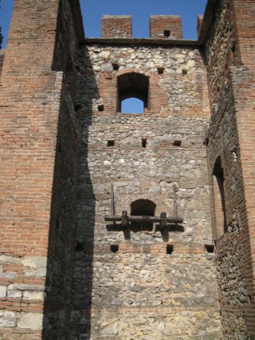 img_8883.jpg
