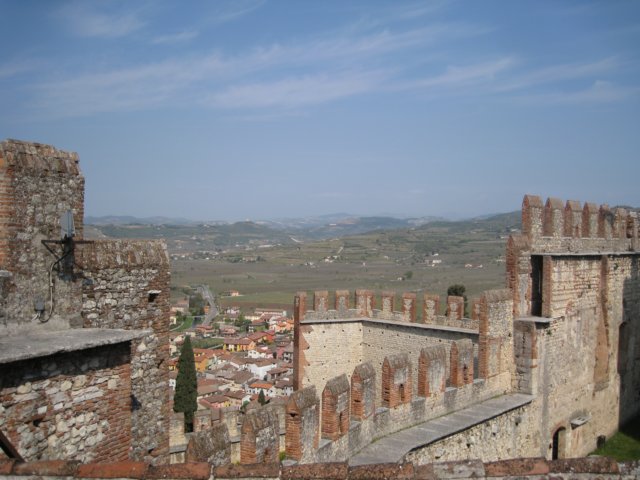 img_8900.jpg