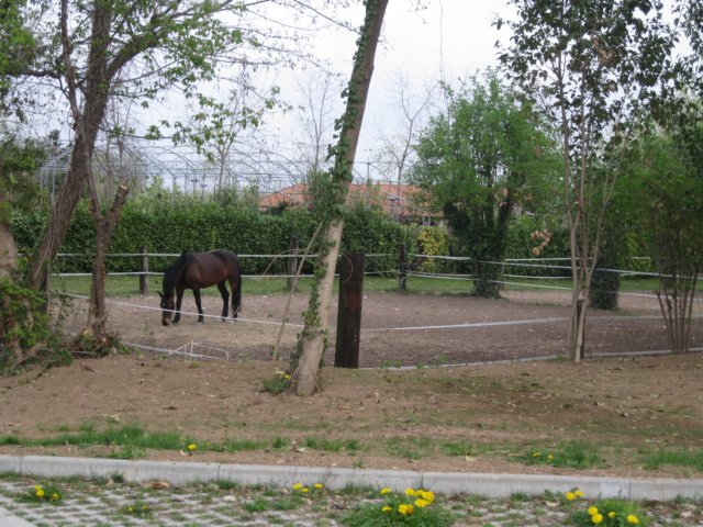 img_8941.jpg