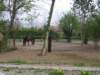 img_8941_small.jpg