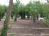 img_8943_small.jpg