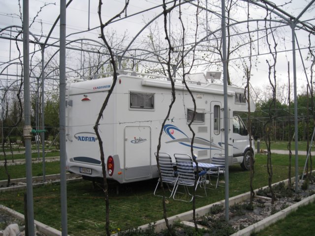 img_8950.jpg