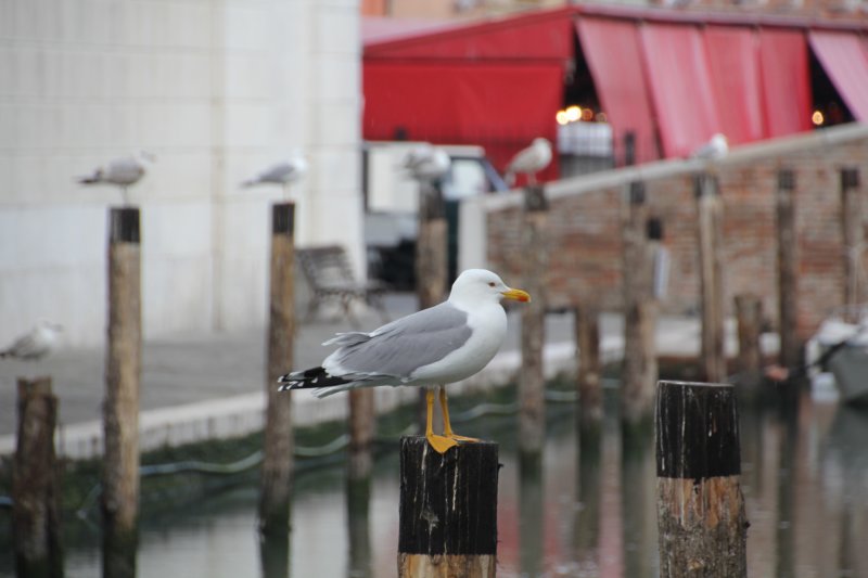 img_1366.jpg